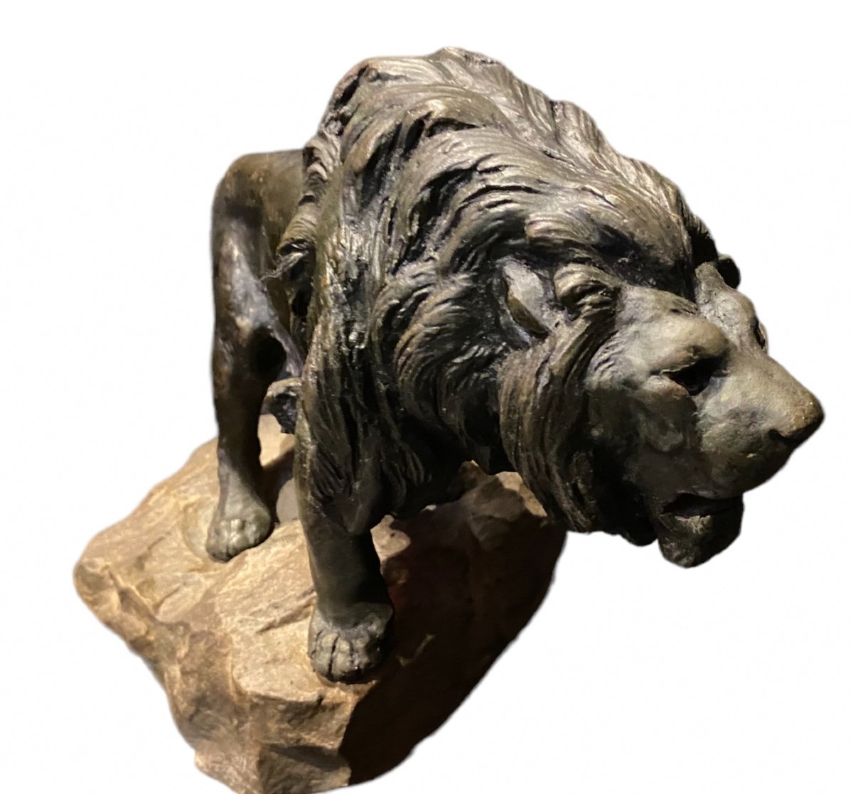 Lion By Prosper Lecourtier-photo-3