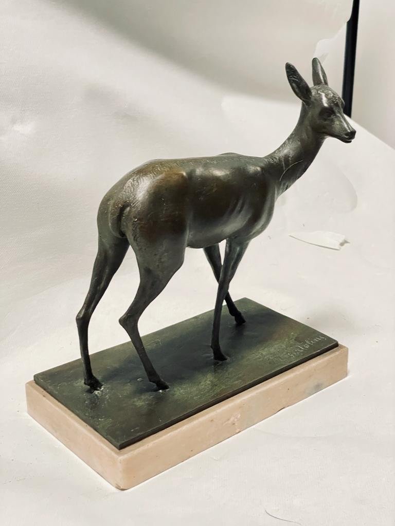 Animal Bronze - Signed Clemente Bertolini - Size 12x24x25cm-photo-4