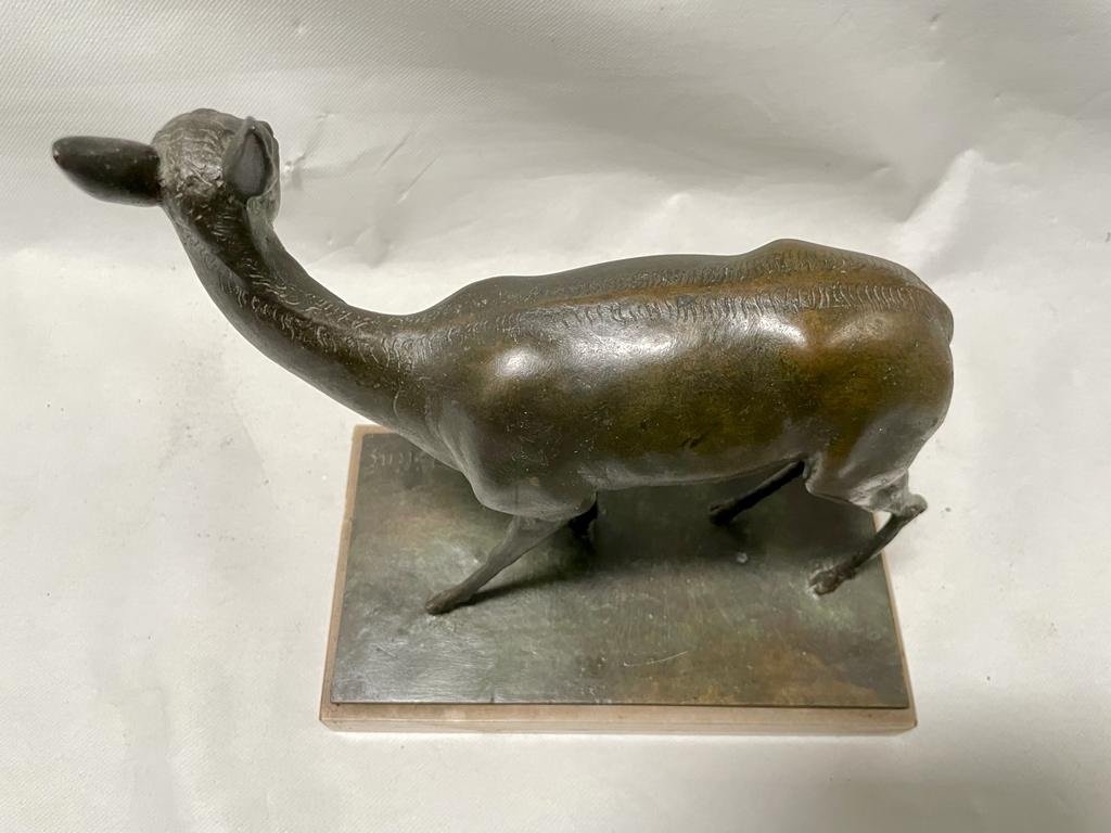 Animal Bronze - Signed Clemente Bertolini - Size 12x24x25cm-photo-1