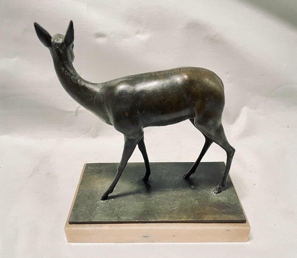 Animal Bronze - Signed Clemente Bertolini - Size 12x24x25cm-photo-3