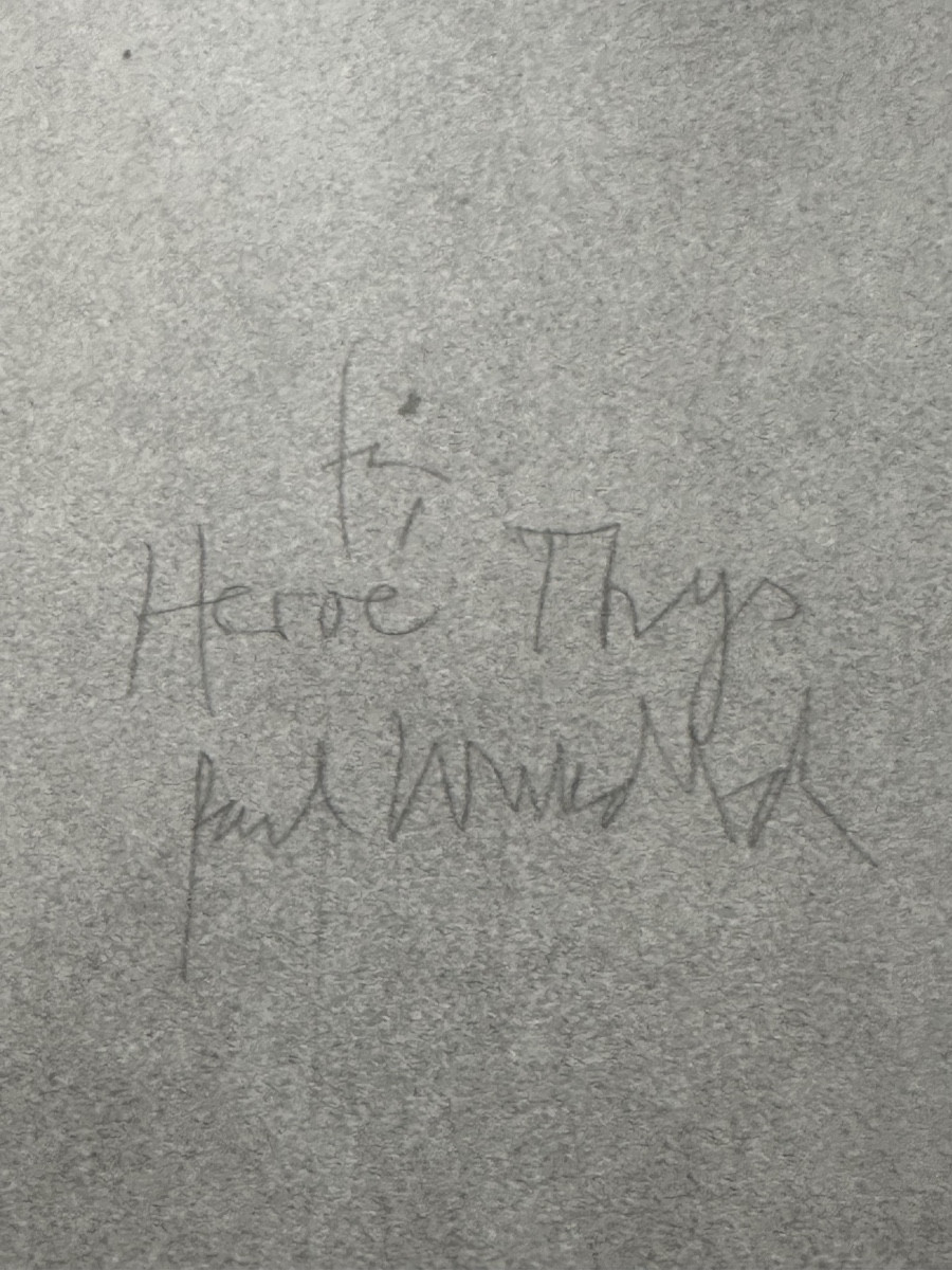 La femme aillée de Paul Wonderlich -photo-2