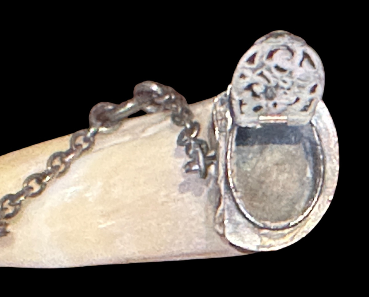 19th Century Scented Wild Boar Horn -photo-4