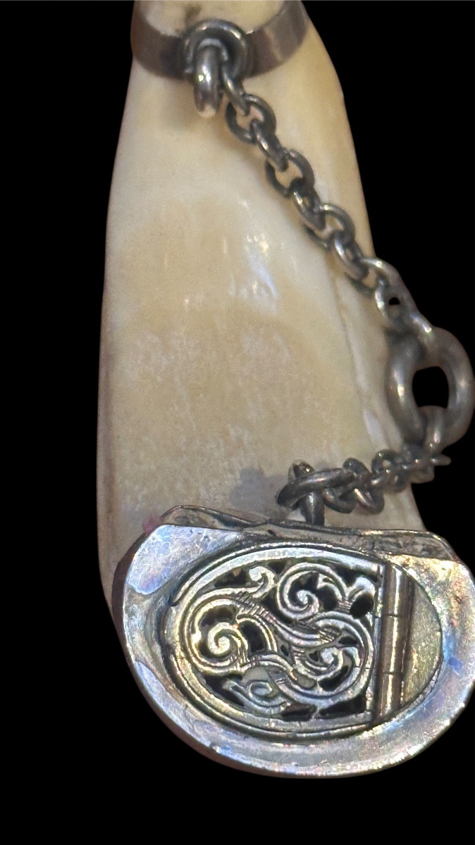 19th Century Scented Wild Boar Horn -photo-2
