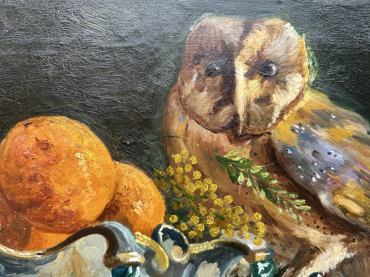 Still Life With Owl, Flemish School Circa 1909-photo-3