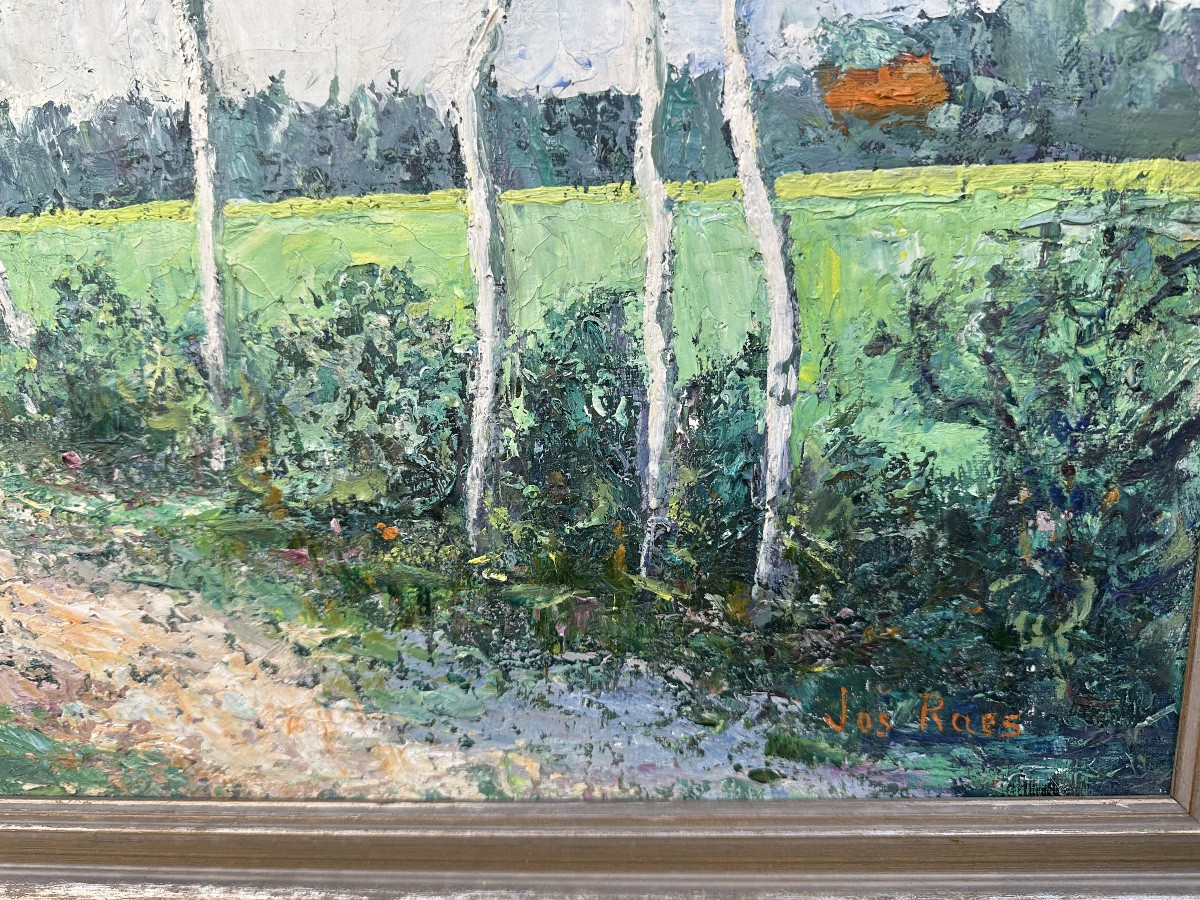 Paysage de campagne de Jos Raes -photo-3