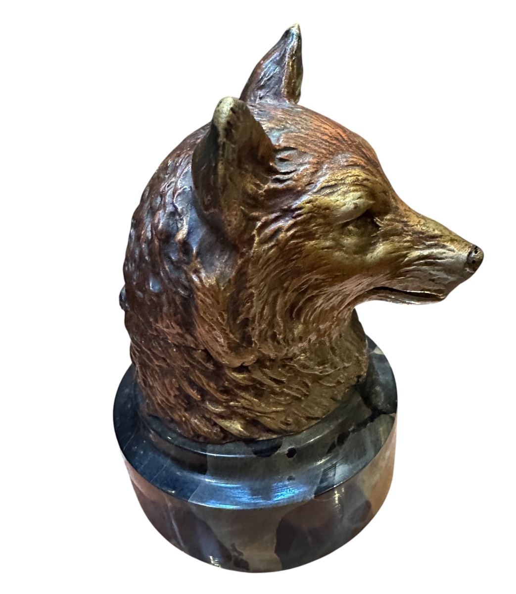 Bronze viennois coquin la face cachée du renard -photo-2