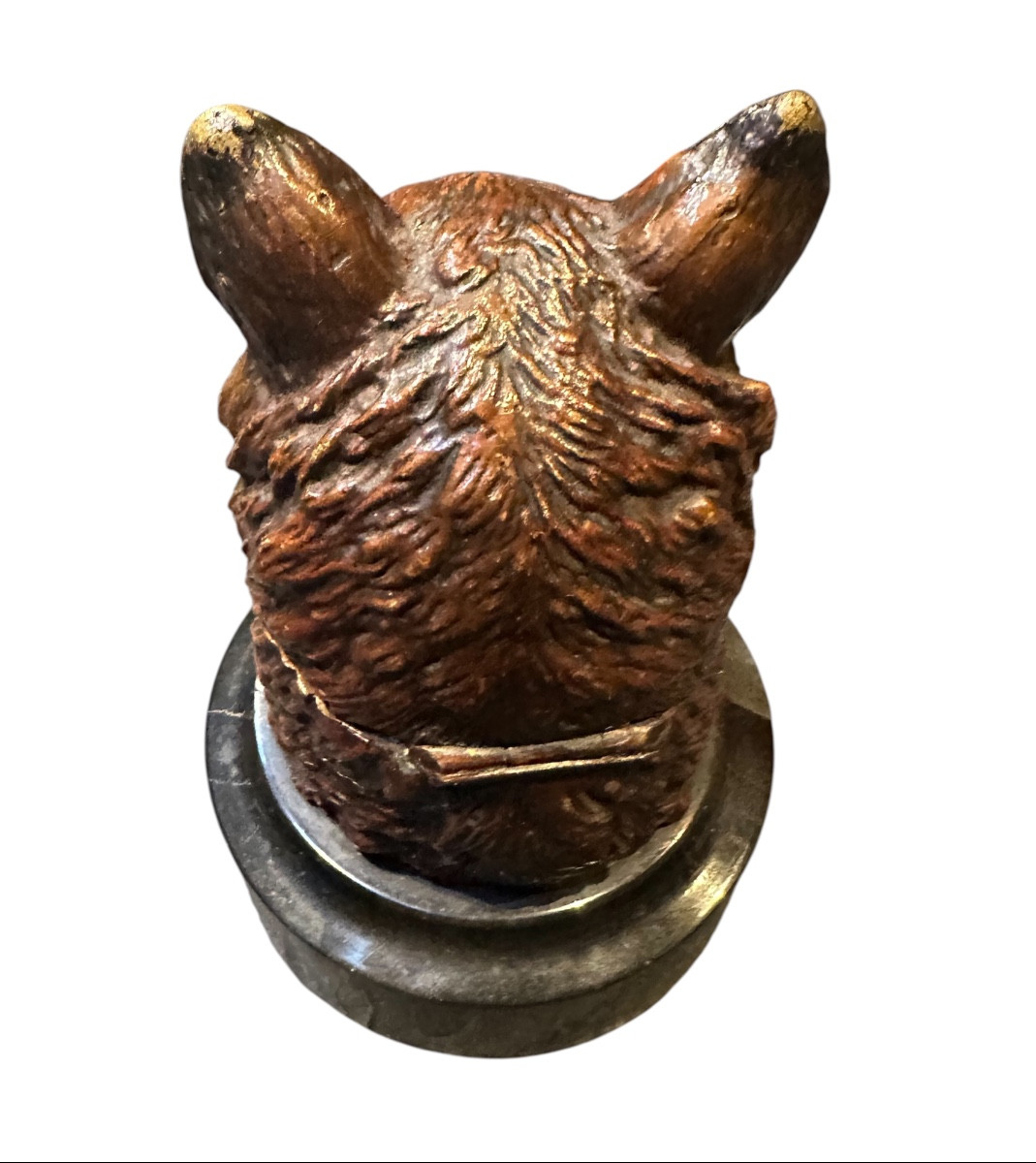 Bronze viennois coquin la face cachée du renard -photo-1