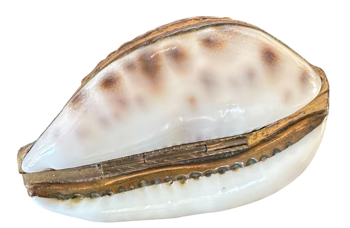 Tabatière fin 18e début 19e coquillage