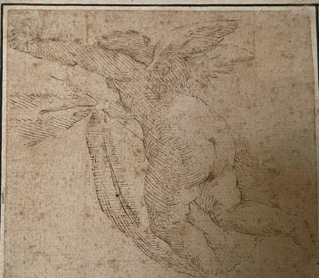 Study Of Cupid - Feather - Italian School Circa 1700 - Size 12 X 12cm-photo-4