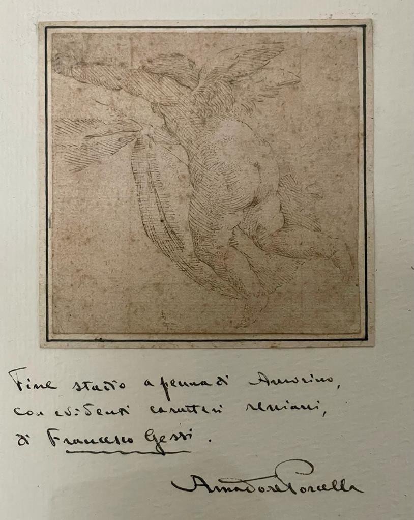 Study Of Cupid - Feather - Italian School Circa 1700 - Size 12 X 12cm