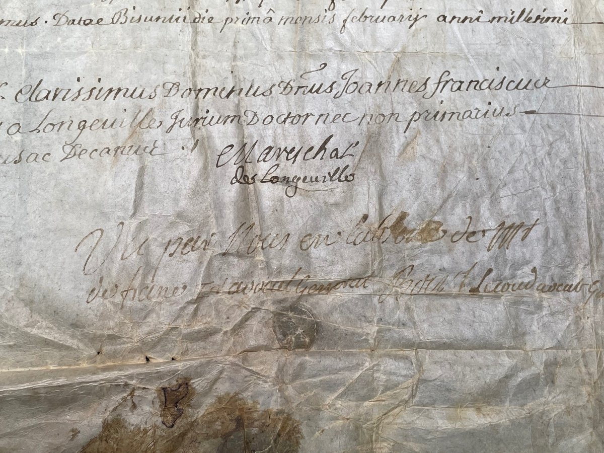 Rare Diploma Of Theology, Lawyer's Certificate, Parliament Of Besançon, 1741 18th-photo-3