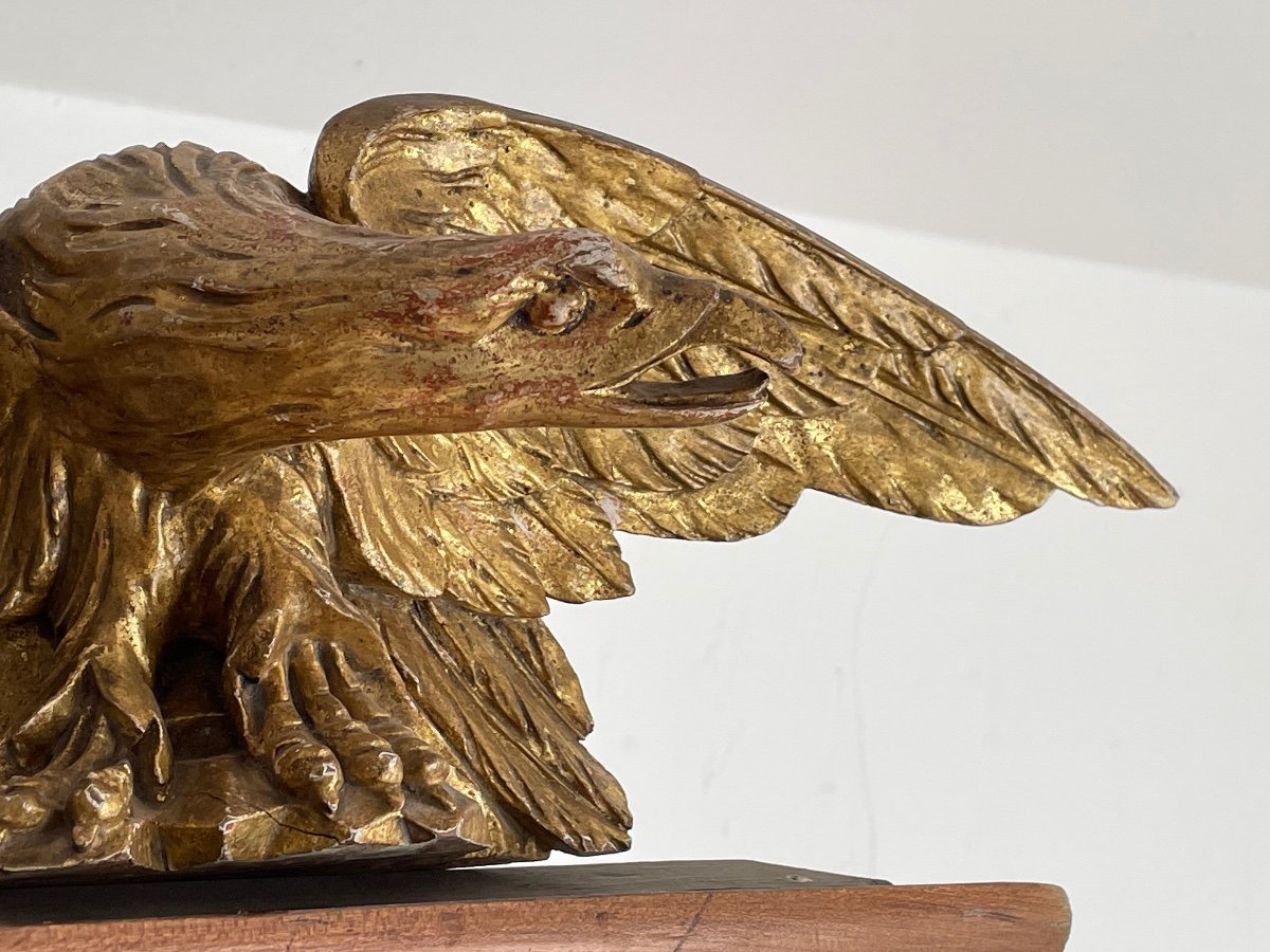 Important Eagle In Golden Polychrome Wood Period 1st Empire 19th -photo-3