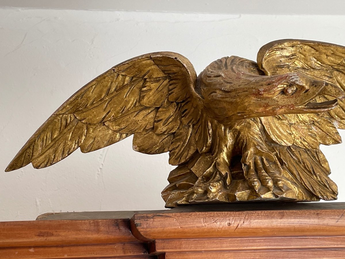 Important Eagle In Golden Polychrome Wood Period 1st Empire 19th -photo-4