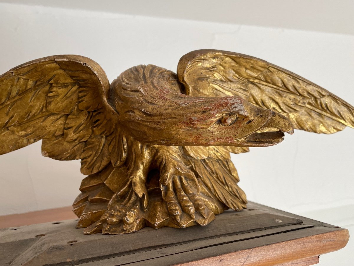 Important Eagle In Golden Polychrome Wood Period 1st Empire 19th -photo-1