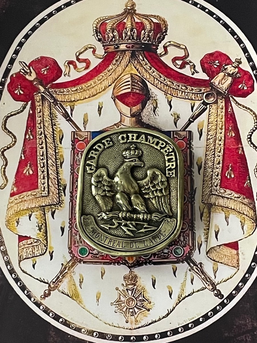 Country Guard Plate From The City Of Montreal From The Aude 1st Empire Period 19th 
