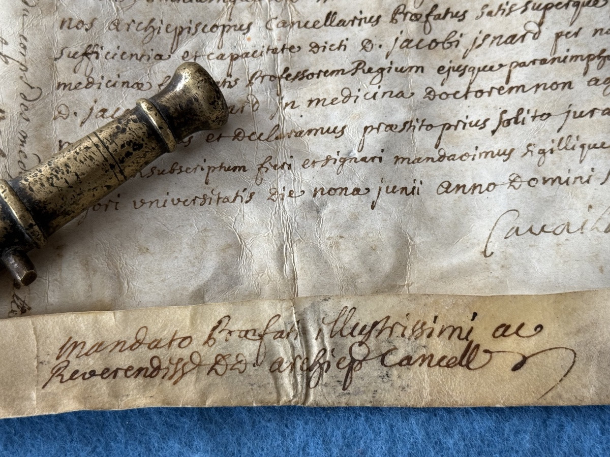  Grasse Diploma "licentiatus" Of Medicine From October 25, 1736 18th -photo-3