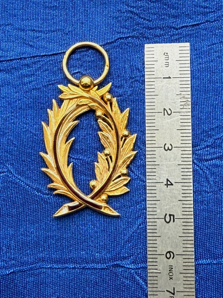 PALMES   ACADÉMIQUES D' OFFICIER   EN  OR  DANS  SA  BOITE  D'  ÉPOQUE  NAPOLÉON  III   19 ÈME -photo-4