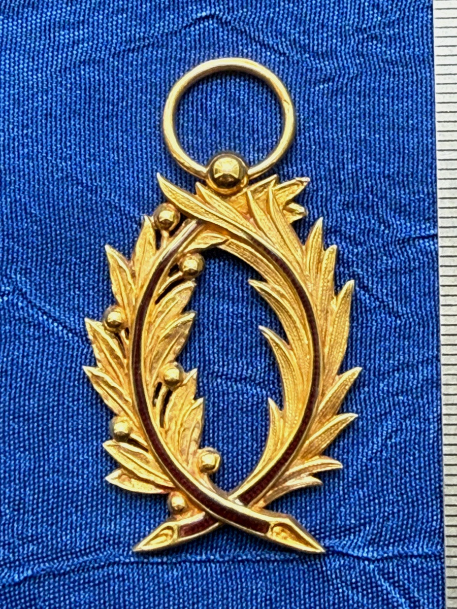 PALMES   ACADÉMIQUES D' OFFICIER   EN  OR  DANS  SA  BOITE  D'  ÉPOQUE  NAPOLÉON  III   19 ÈME -photo-2