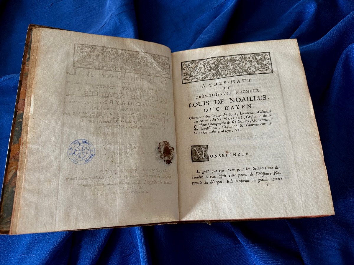 Natural History Of Senegal. Shells. Original Edition Of 1757 Bauche Paris 18th -photo-3