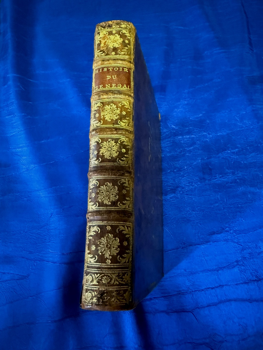 Natural History Of Senegal. Shells. Original Edition Of 1757 Bauche Paris 18th 
