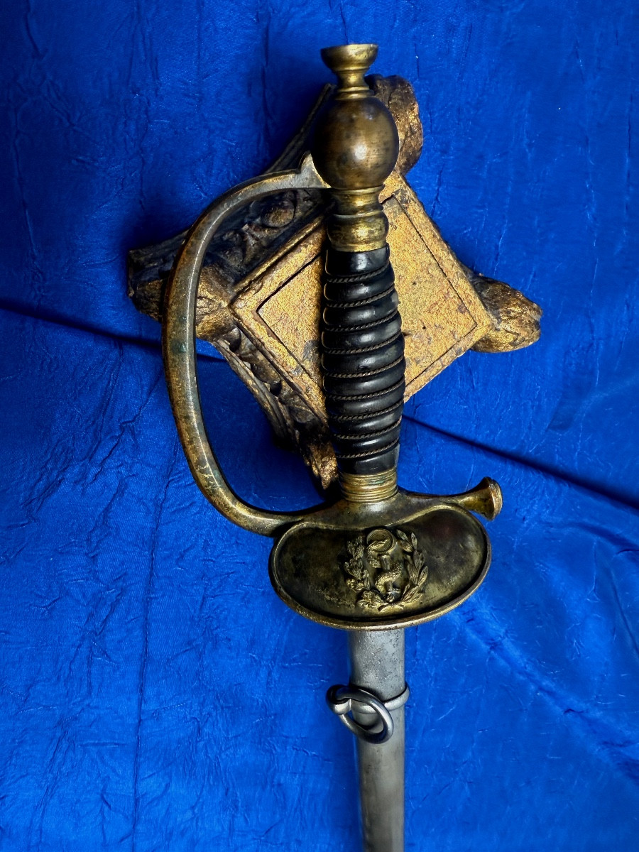 ÉPÉE  D'OFFICIER   MÉDECIN    DU SERVICE DE SANTÉ  DU MODÈLE  1884  19 ÈME  IIIÈME RÉPUBLIQUE 