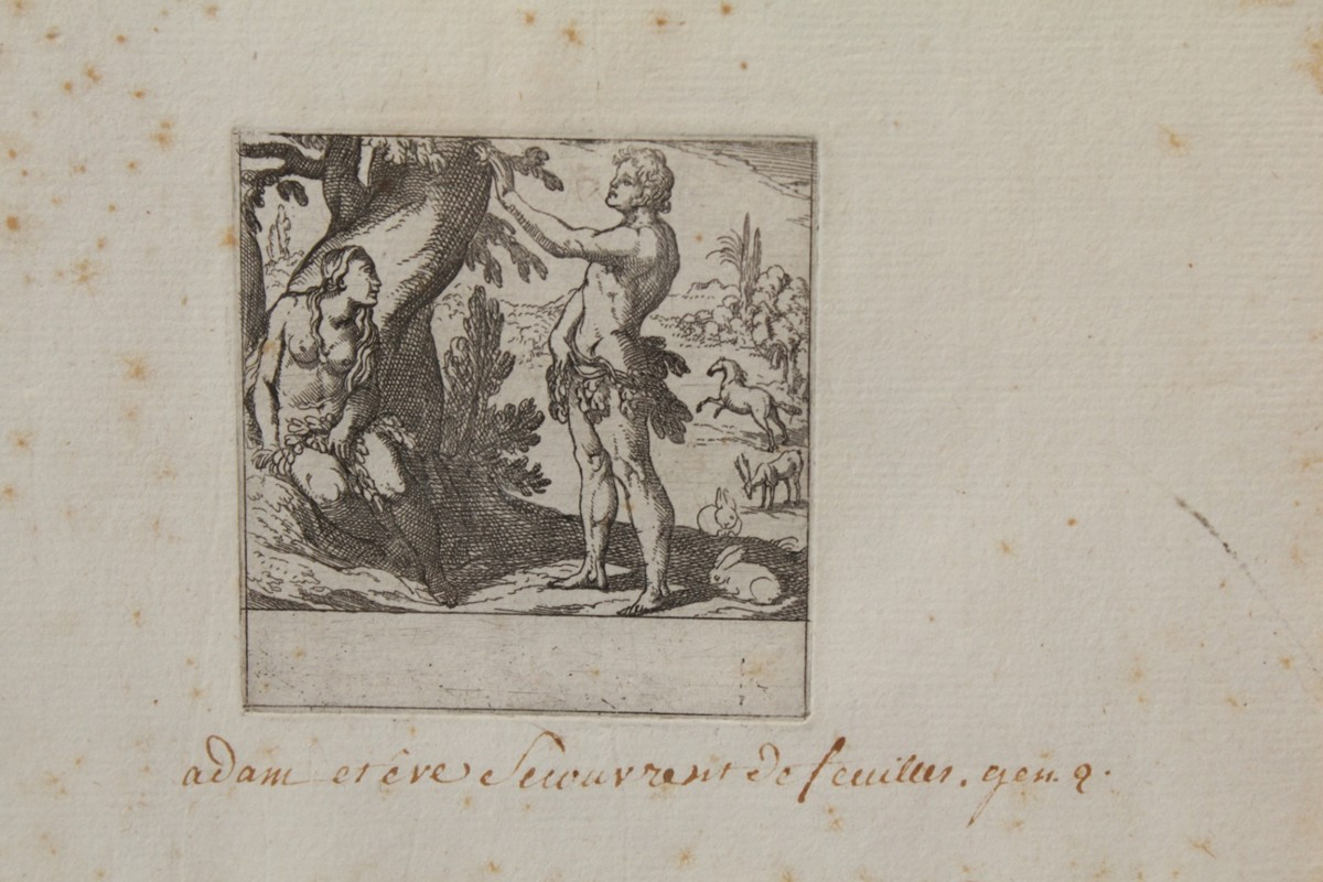Engraving Of Adam And Eve, 18th Century-photo-3