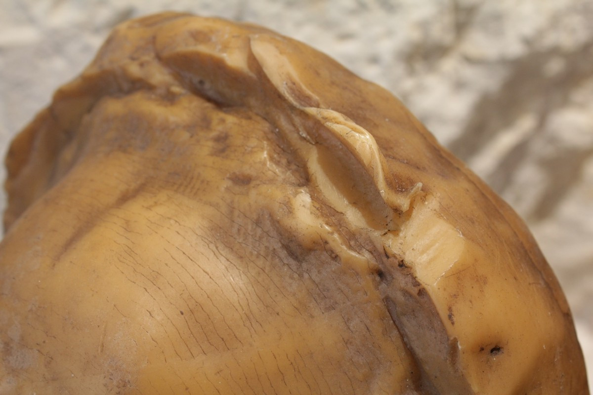 Large Wax Sculpture 'woman's Head', Workshop Proof, Early 20th Century-photo-1
