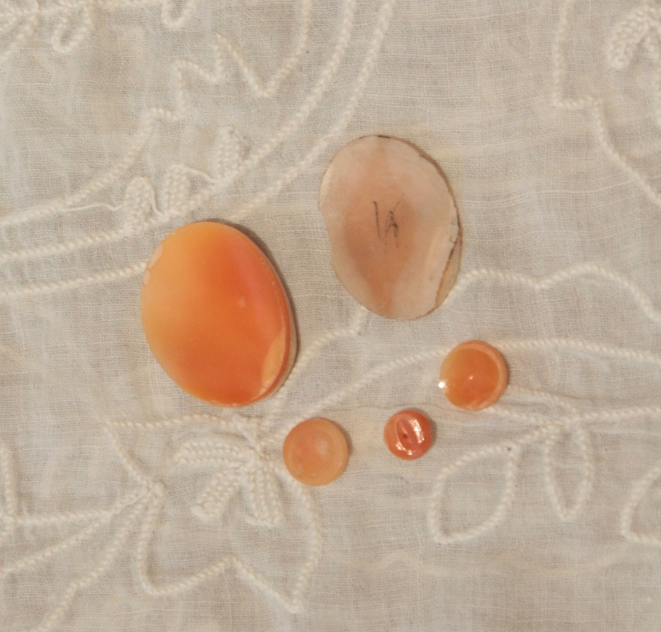 Set Of 5 Unmounted Shell Cameos, Late 19th And 20th Centuries-photo-3