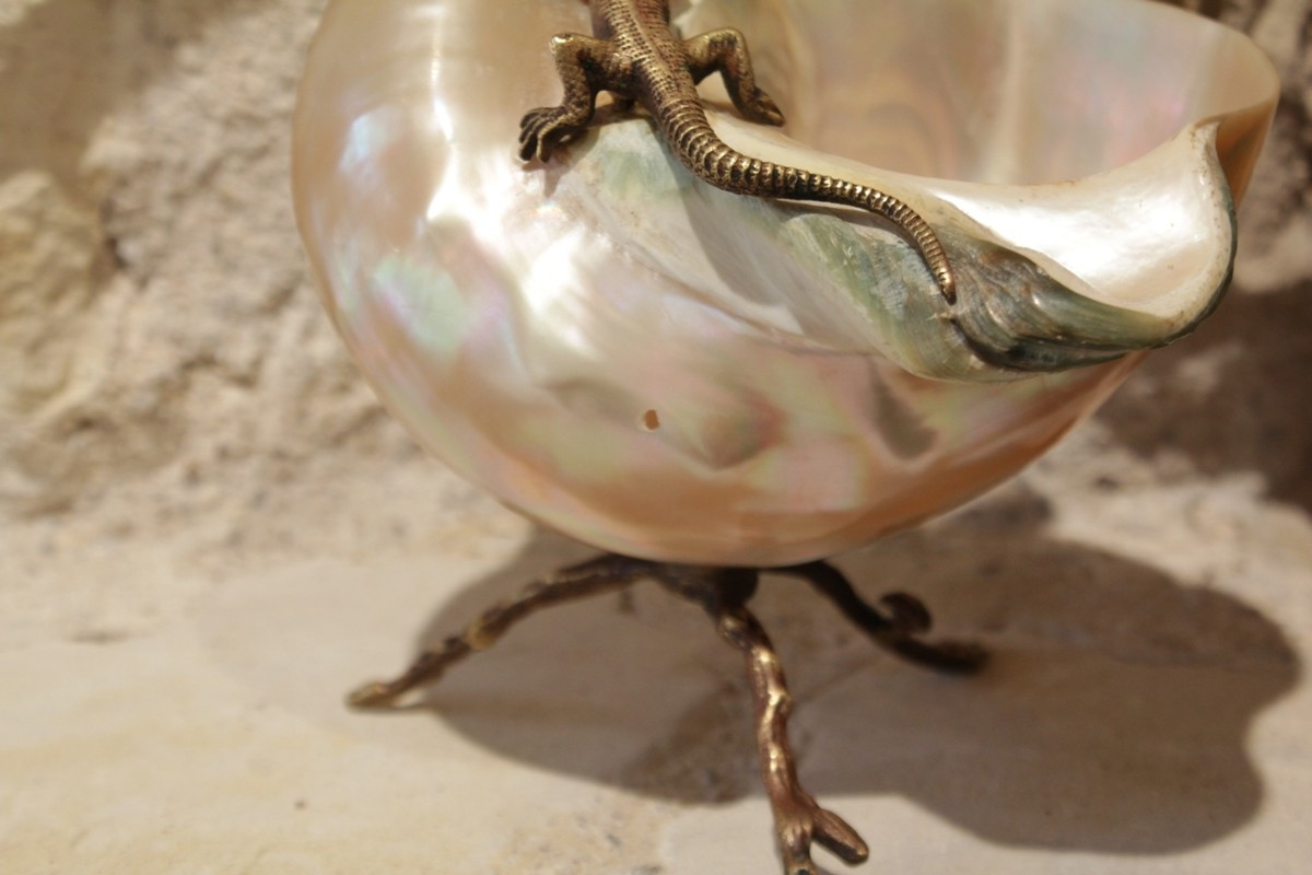 Coquillage nacré monture en bronze doré lézard et tiges végétales fin 19ème siècle-photo-1
