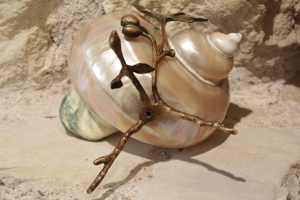 Coquillage nacré monture en bronze doré lézard et tiges végétales fin 19ème siècle-photo-5