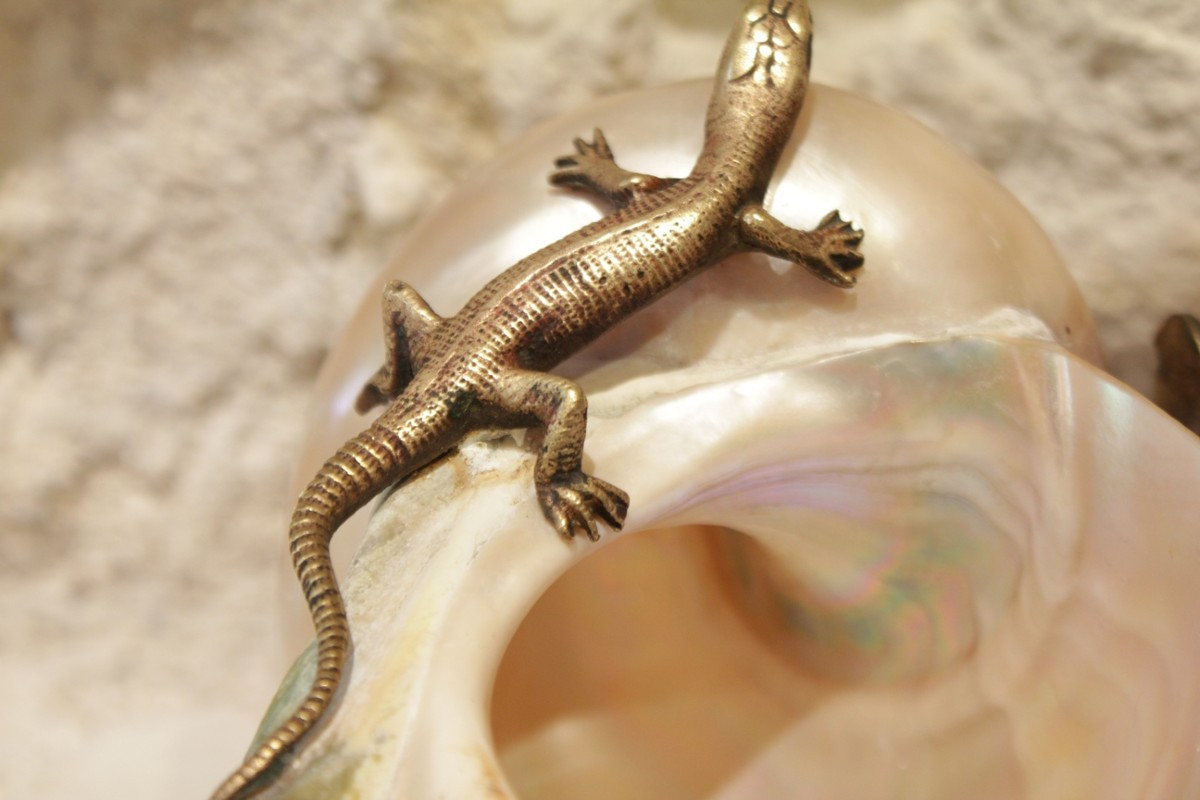 Coquillage nacré monture en bronze doré lézard et tiges végétales fin 19ème siècle-photo-7
