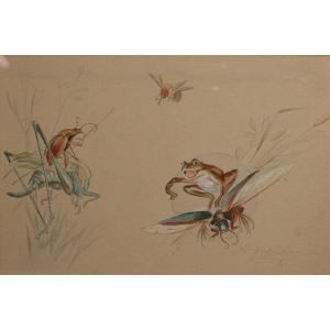 étude Humoristique, Dessin Gouaché 'grenouille Et Insectes' Signé Et Daté 1920