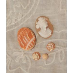 Set Of 5 Unmounted Shell Cameos, Late 19th And 20th Centuries