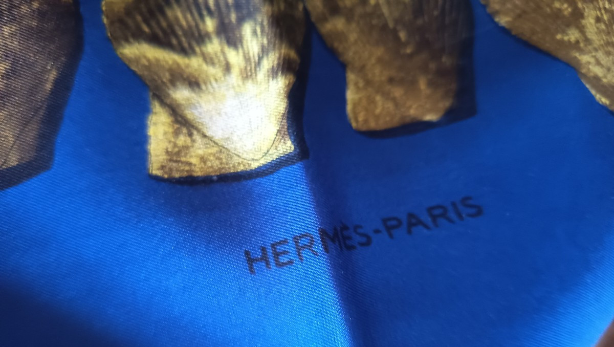 Foulard Hermes aux Coquillages -photo-2