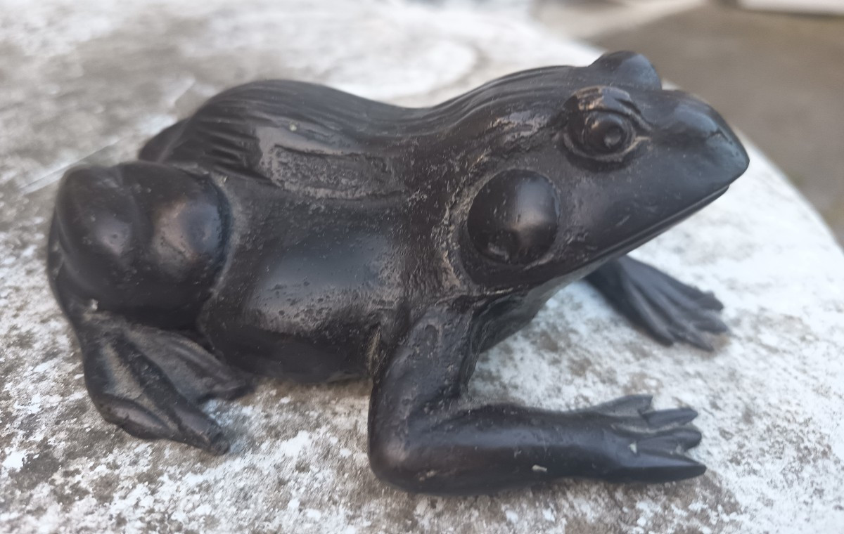 Napoleon III Bronze Frog-photo-3