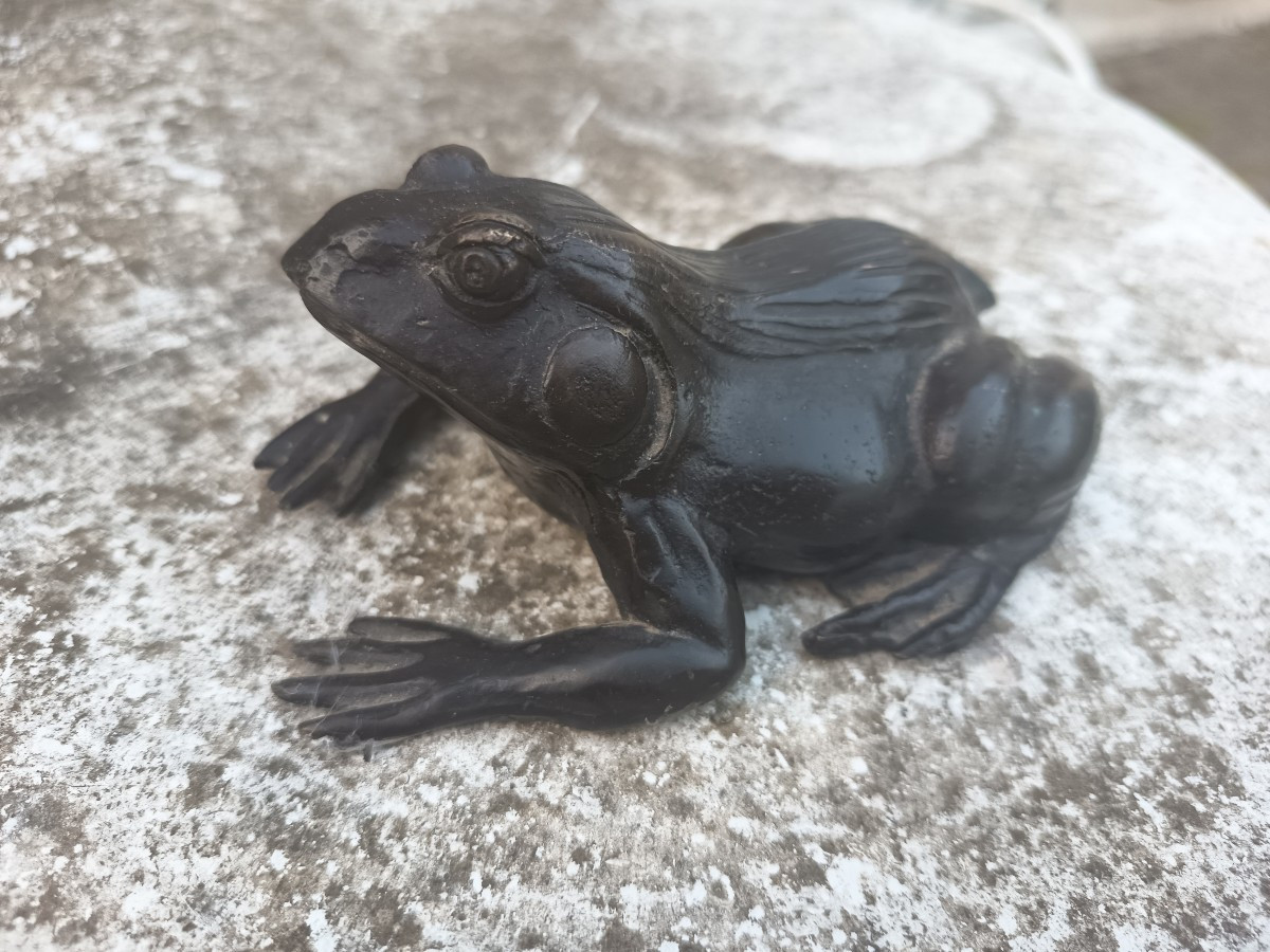Napoleon III Bronze Frog-photo-4