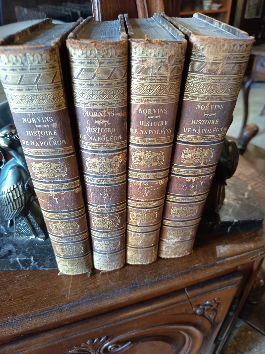 Histoire de Napoléon par Norvins