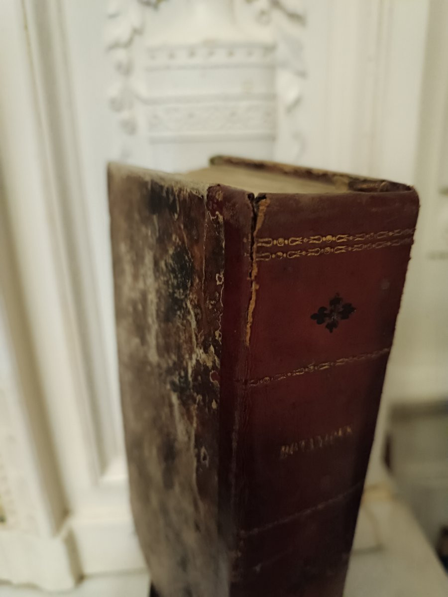 2 Books On Napoleon, Volumes 2 And 4, 1 Book On Botany -photo-7