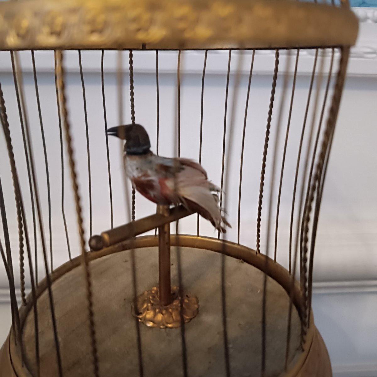 Songbird Cage-photo-3