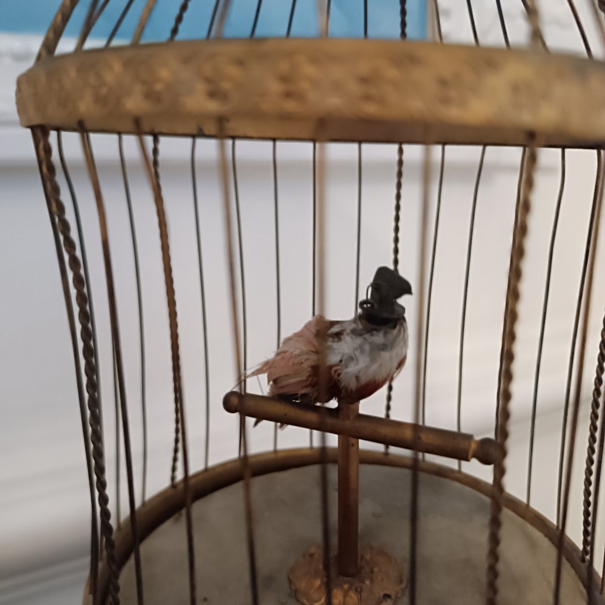 Songbird Cage-photo-3