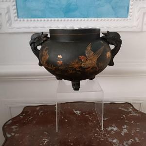1843445-main-6ada31e1c99f9.jpg