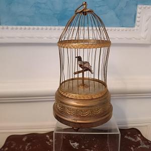 Songbird Cage