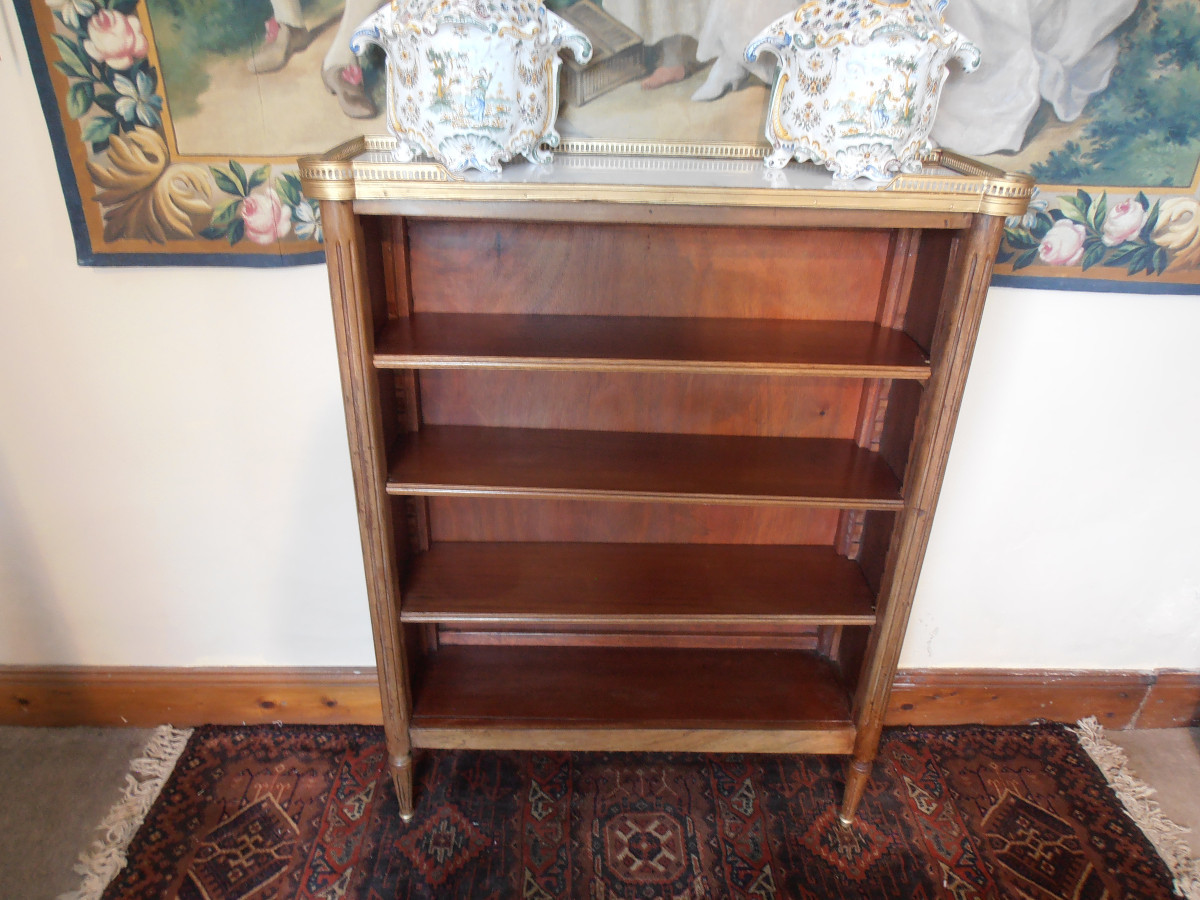 Bibus Shelf-photo-2