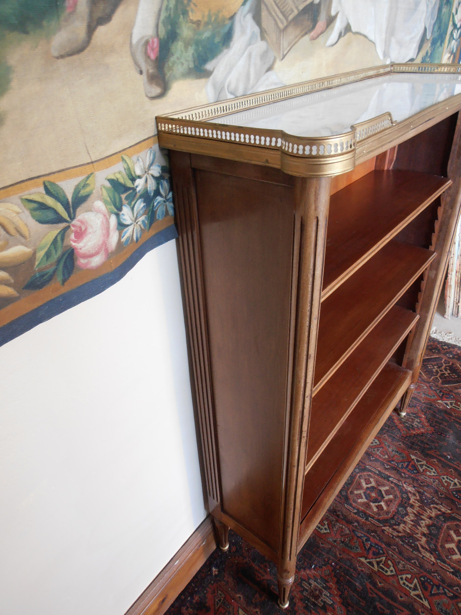 Bibus Shelf-photo-3