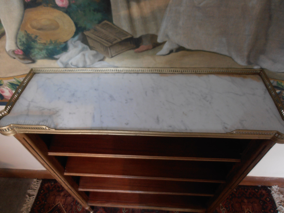 Bibus Shelf-photo-2