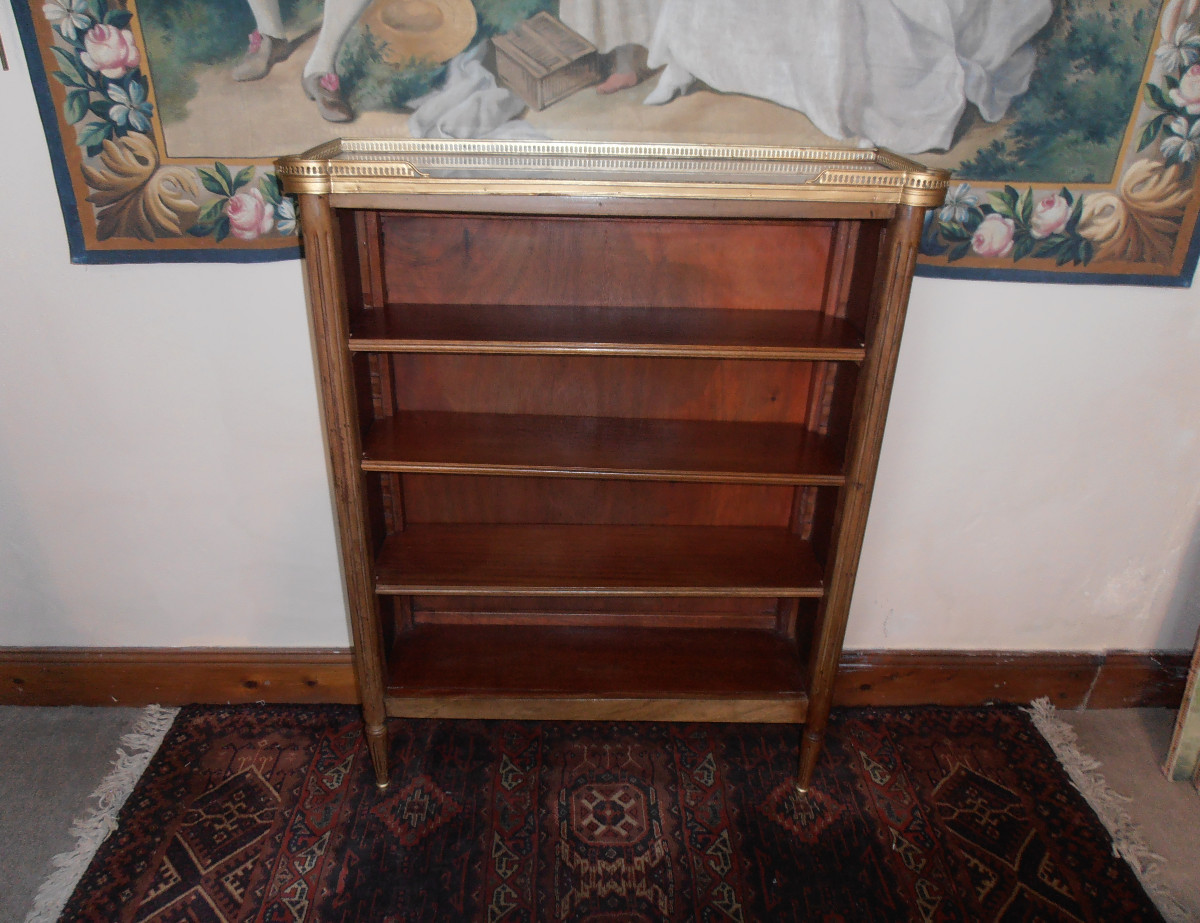Bibus Shelf
