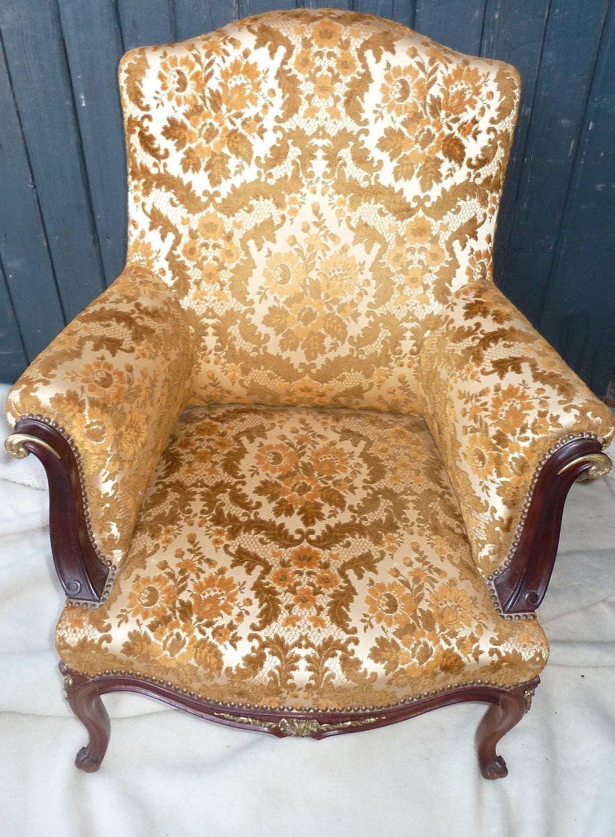 fauteuil acajou et bronze-photo-4