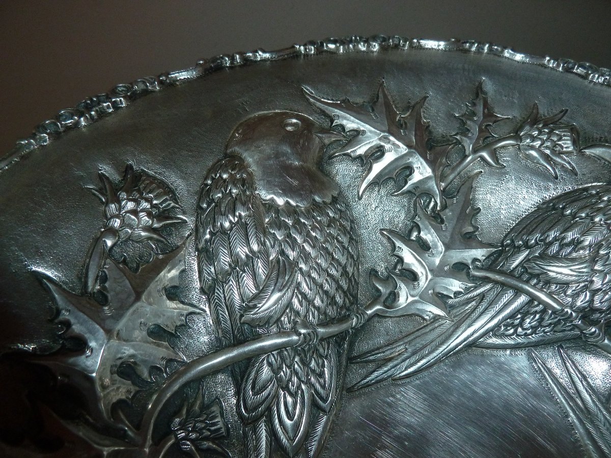 coupe en argent-photo-1