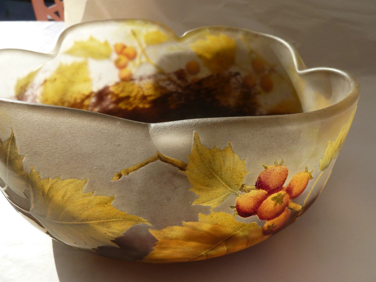 Daum Nancy- Coupe Art Nouveau-photo-3