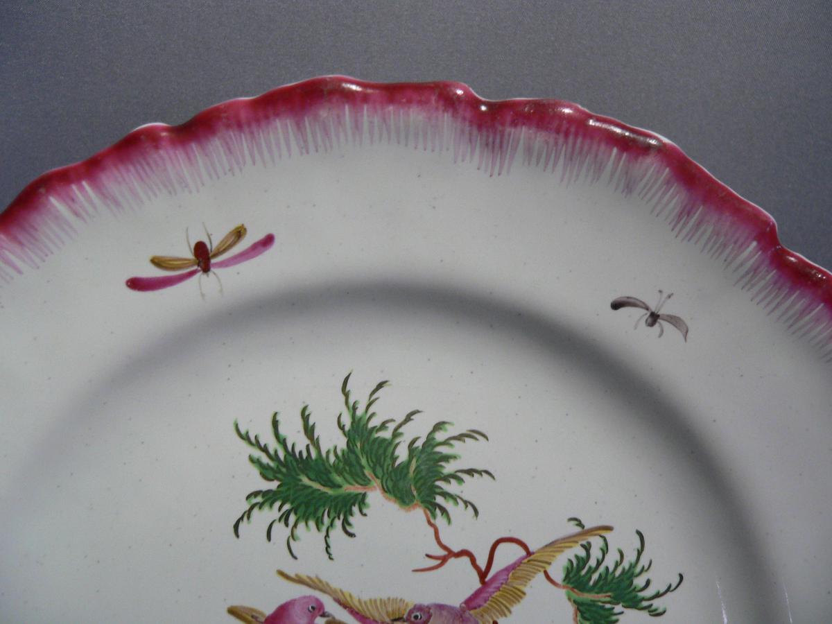 From Luneville Faience Plate In Eighteenth Decor Aux Oiseaux-photo-3